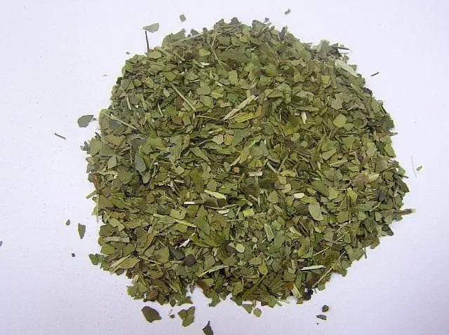 OXALIS Mate green 50g - bylinný