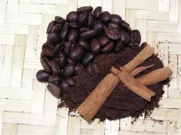 OXALIS Káva aromat. Skořicoví šneci 100g