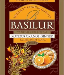 BASILUR Horeca Rooibos Orange Ginger 1 sáček