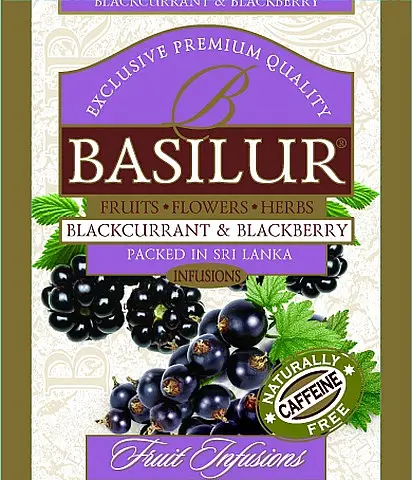 BASILUR Horeca Fruit Blackcurrant & Blackberry 1 sáček