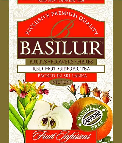 BASILUR Horeca Fruit Red Hot Ginger 1 sáček