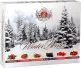 BASILUR Winter Berries Assorted přebal 60 gastro sáčků