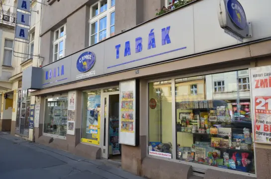 Marcel Holub - Koala